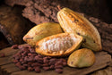Organic Cacao Beans 8oz