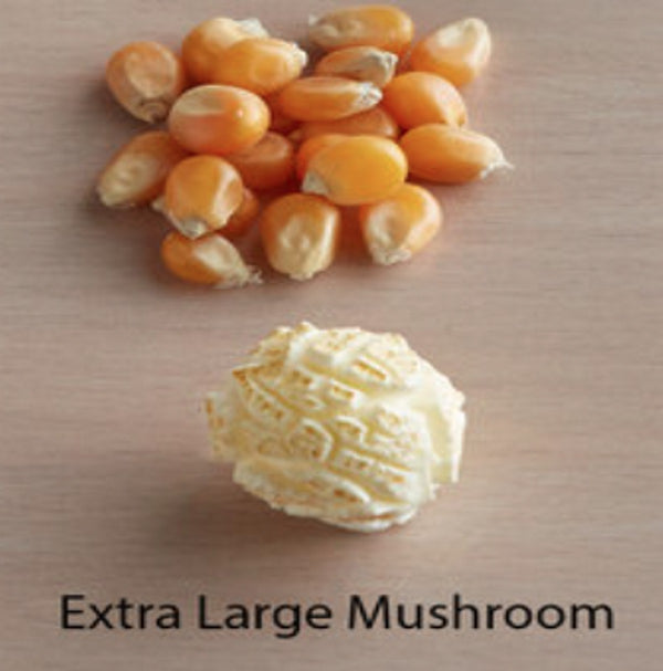 Magic Mushroom Popcorn